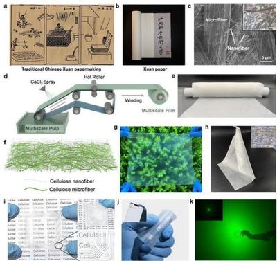 中國(guó)科學(xué)技術(shù)大學(xué)引領(lǐng)創(chuàng)新 新型柔性顯示膜材料問世，開啟顯示技術(shù)新篇章