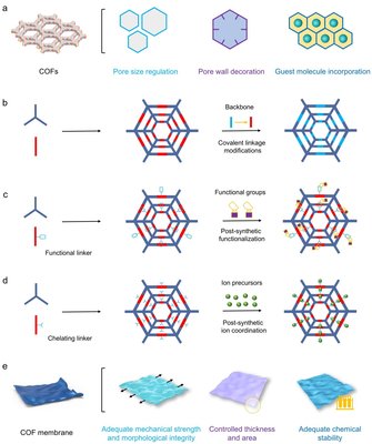 新型共價(jià)有機(jī)框架膜材料突破能源儲(chǔ)存與轉(zhuǎn)換瓶頸——記天津科技大學(xué)輕工科學(xué)與工程學(xué)院司傳領(lǐng)團(tuán)隊(duì)的重要研究進(jìn)展